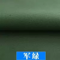 家柏饰(CORATED)色加厚帆布布料棉麻沙发面料麻布窗帘全棉白帆布棉布老粗布布料 09号绿150CM宽