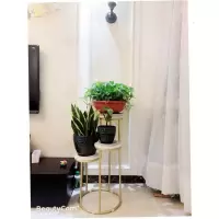 家柏饰(CORATED)北欧花架客厅现代花架子简约绿萝落地式轻奢多层置物架室内花盆架 四层金色 特大