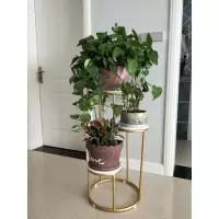 家柏饰(CORATED)北欧花架客厅现代花架子简约绿萝落地式轻奢多层置物架室内花盆架 四层黑色 特大