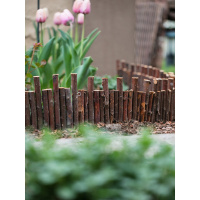森美人木栅栏护围栏小篱笆装饰庭院花园菜地围墙室户外花坛花池