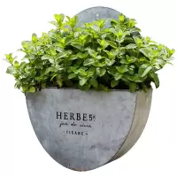 家柏饰(CORATED)经典半圆复古铁艺壁挂花篮 花器花盆 杂货花园装饰ZAKKA