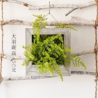 家柏饰(CORATED)壁挂花框花盆花器 实木手工做旧复古花园用品杂货 大羽蕨套装材料包 中