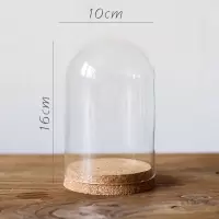 家柏饰(CORATED)软木塞玻璃罩 装饰摆件微景观干花标本公仔玩偶瓶DIY G(10cmX16cm)