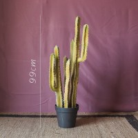 家柏饰(CORATED)仿真大型仙人掌盆景仙人柱墨西哥天轮柱装饰摆件落地 Myrtilloctus沙瓜洛仙掌