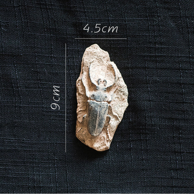 家柏饰(CORATED)史前化石系列冰箱贴 鱼骨甲虫海洋生物艺术装饰摆件另类 C泰坦甲虫