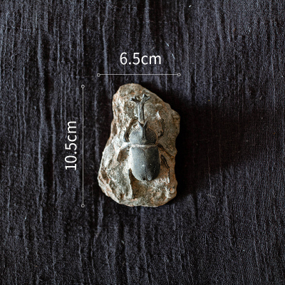 家柏饰(CORATED)史前化石系列冰箱贴 鱼骨甲虫海洋生物艺术装饰摆件另类 F独角仙