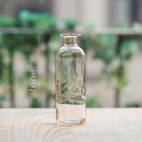 家柏饰(CORATED)小口玻璃瓶 花瓶花器花插 清新森系INS日式北欧装饰摆件 E