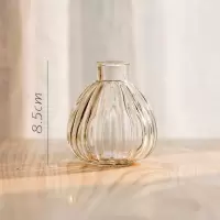 家柏饰(CORATED)小型玻璃器皿小花瓶花器 透明干花插花小号水培客厅装饰摆件 小南瓜