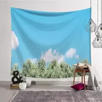 北欧INS清新壁毯墙壁装饰挂布床头卧室宿舍背景布毯桌布 GT00832 150高*200宽厘米(横款)