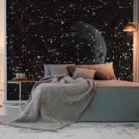 家柏饰(CORATED)超大挂布墙壁装饰挂毯床头卧室背景布森林星空壁画北欧免打孔 图十一 加大180高*230宽厘米横款