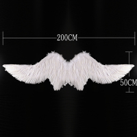 家柏饰(CORATED)翅膀羽毛翅膀天使翅膀colay翅膀道具舞会走秀表演翅膀演出用品 白色200*50cm