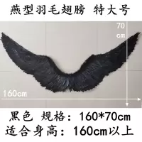家柏饰(CORATED)翅膀羽毛翅膀天使翅膀colay翅膀道具舞会走秀表演翅膀演出用品 黑色160*70cm