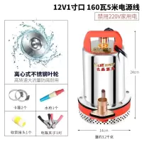 直流潜水泵水泵家用抽水12v24v480v小型电瓶车抽水泵农用 12V1寸口160W5米线送5米管(10年换新)