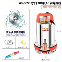 直流潜水泵水泵家用抽水12v24v480v小型电瓶车抽水泵农用 48-60V通用款1寸口300W10米线送5米管