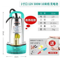 BONJEAN直流潜水泵水泵家用抽水12v24v480v小型电瓶车抽水泵农用 高扬程款1寸12V300W10米线送5米管