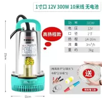 BONJEAN直流潜水泵水泵家用抽水12v24v480v小型电瓶车抽水泵农用 高扬程款1寸12V300W10米线送5米管