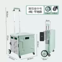 家柏饰(CORATED)买菜车小拉车家用手推车爬楼梯拉杆车野餐超市折叠购物车 薄荷绿[升级款中号-4轮]