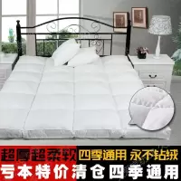美帮汇羽丝绒床垫五星级酒店加厚10cm榻榻米护垫床褥子