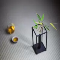 美帮汇铁艺花插花器日式简约透明玻璃试管花瓶水培容器客厅家居创意摆件