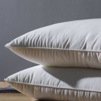 美帮汇羽丝绒枕芯高低枕酒店学生宿舍单人枕头一对拍2枕家用枕头芯