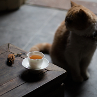 美帮汇海棠茶盏茶托白瓷品茗杯白茶杯杯托玉瓷功夫茶具套杯主人杯