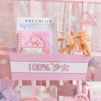 美帮汇美少女粉色学生宿舍床头收纳架盒 寝室置物架上铺床边挂篮挂钩篮