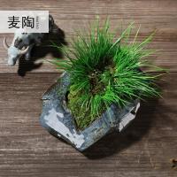 美帮汇创意中式陶瓷花盆金钱菖蒲盆栽盆景家居室内绿化摆件