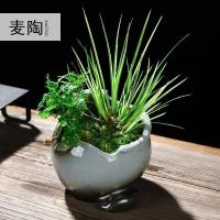 美帮汇创禅意哥窑陶瓷花盆室内家用桌面简约菖蒲袖珍椰子植物装饰品