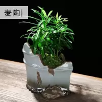 美帮汇创禅意哥窑陶瓷花盆室内家用桌面简约透气盆栽绿萝兰植物装饰品
