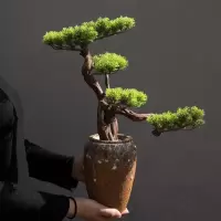美帮汇中式仿真盆景迎客松绿植物客厅酒店家居玄关装饰品样板间软装摆件