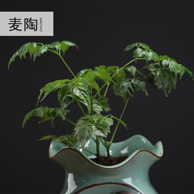 美帮汇流水器雾化摆件陶瓷盆景加湿器室内客厅花盆花插绿萝多肉花盆