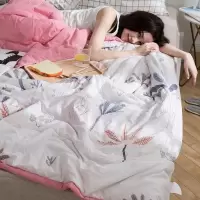 美帮汇空调被夏凉被双人薄被子夏天单人学生宿舍春秋夏季儿童被芯夏被