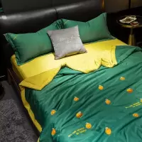 美帮汇可机洗夏凉被夏季空调被天丝夏被单人双人春秋被薄款被子夏天被芯
