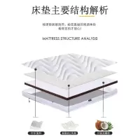 美帮汇加厚椰棕床垫双人家用 榻榻米软垫棕榈硬棕垫卧室海绵垫子