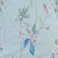 美帮汇家纺空调被夏被薄被子单双人夏天被芯蔓绿D