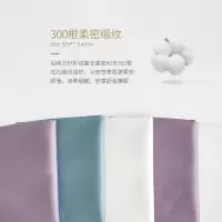 美帮汇酒店床罩全棉床笠式床单60支色全棉贡缎床套床垫罩
