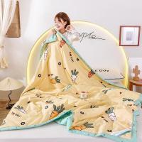 美帮汇全棉夏凉被全棉空调被单人双人儿童夏被可水洗机洗夏季薄款被子