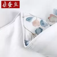 美帮汇蚕丝被100桑蚕丝线下叶语 2500g 200cmx230cm叶语