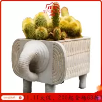 美帮汇部落大象花器花盆水泥民族风装饰摆件阳台花园种植多肉绿植
