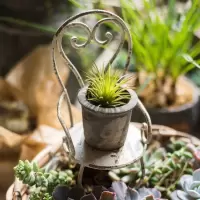 美帮汇铁艺小椅子 装饰摆件迷你花架 杂货花园复古娃娃道具