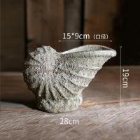 美帮汇个性贝壳海螺花盆 复古多肉植物盆透气陶盆铜钱绿萝盆 海螺花器(底部有孔) 大