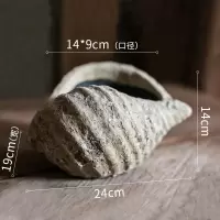 美帮汇个性贝壳海螺花盆 复古多肉植物盆透气陶盆铜钱绿萝盆 贝壳花器(底部有孔) 大