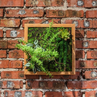 美帮汇仿真绿植框 绿植墙多肉组合植物背景墙 装饰壁饰花墙 H(30X30)