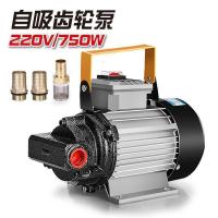 汐岩电动抽油泵12V24V220V大功率大流量自吸泵齿轮泵柴油加油机 220V750W齿轮泵