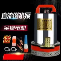 汐岩水泵48V 12V240V直流潜水泵插头的抽水泵家用小型刷车农用500w高扬程 48V60V通用7米电线