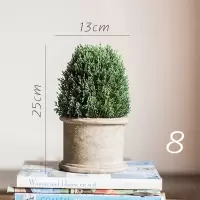 美帮汇暮雪仿真树球盆景桌面装饰摆件绿植球办公室餐桌咖啡馆 8
