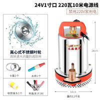 汐岩直流潜水泵水泵家用抽水12v24v480v小型电瓶车抽水泵农用 24V1寸口220W10米线送5米管(10年换新