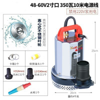 汐岩直流潜水泵水泵家用抽水12v24v480v小型电瓶车抽水泵农用 48-60V通用款2寸口350W10米线送5米管