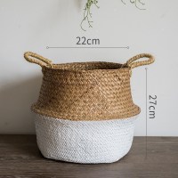 美帮汇洋葱盆景大型仿真植物绿植仿真树装饰摆件陈列布景道具 白底折篮(全部适用)