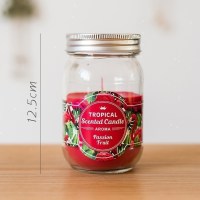 美帮汇热带水果系列蜡烛 香薰杯蜡罐头蜡 装饰风情艺术 百香果罐头(大)